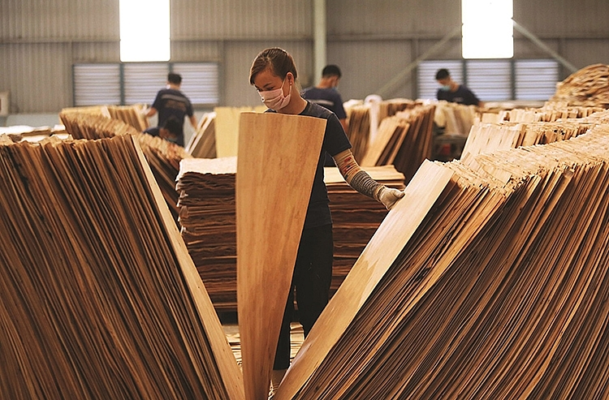 Preparing For Plywood Production: Classifying Core Veneer