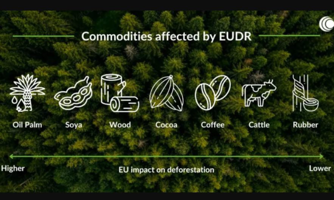 Commodities affected by EUDR